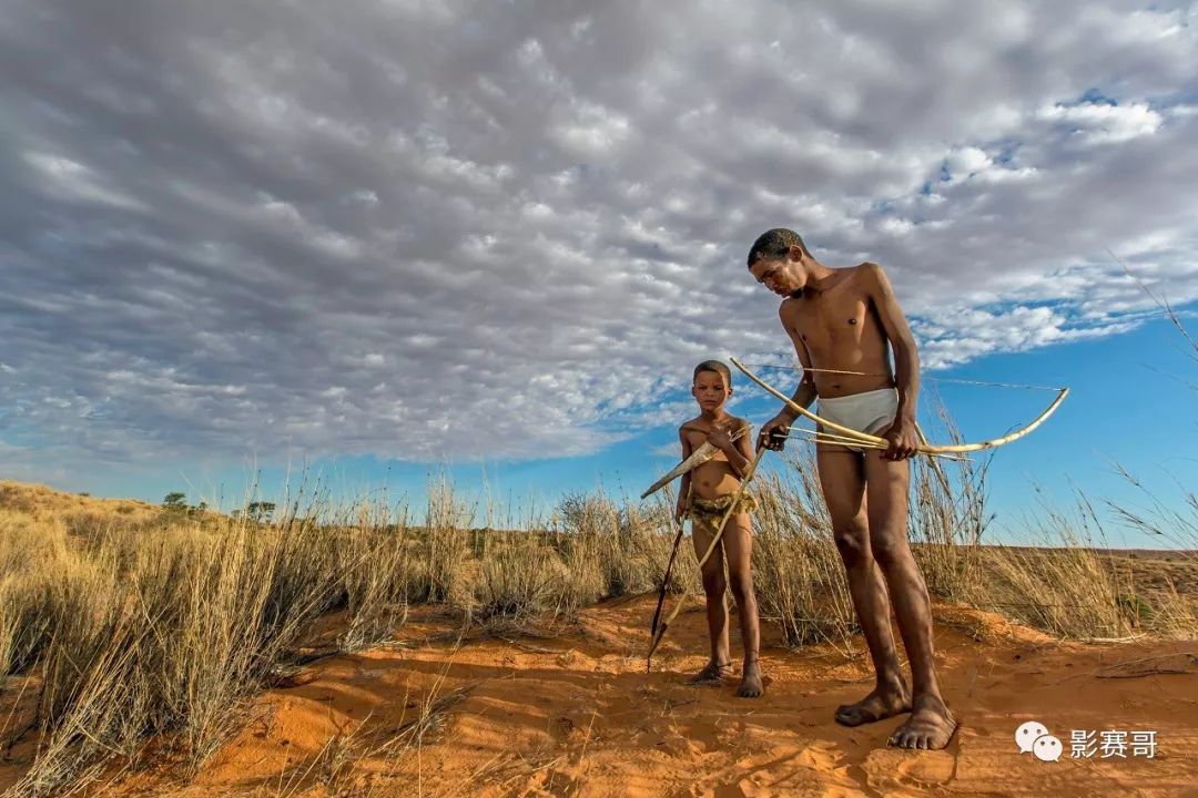 梵高文森特作品大全,文森特梵高的全部作品及介绍