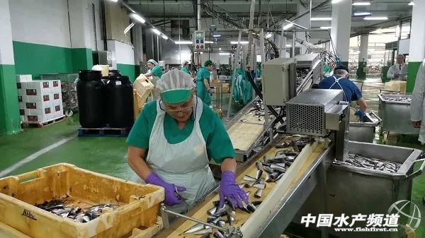 走出去”收购西班牙百年海产企业，“引进来”高蛋白海产品回国