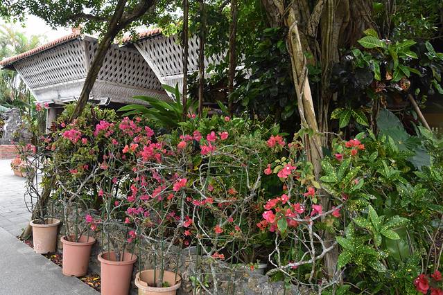 冲绳岛上的人间仙境,冲绳城市