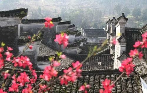 周家大院牡丹,周家大院深谷幽兰