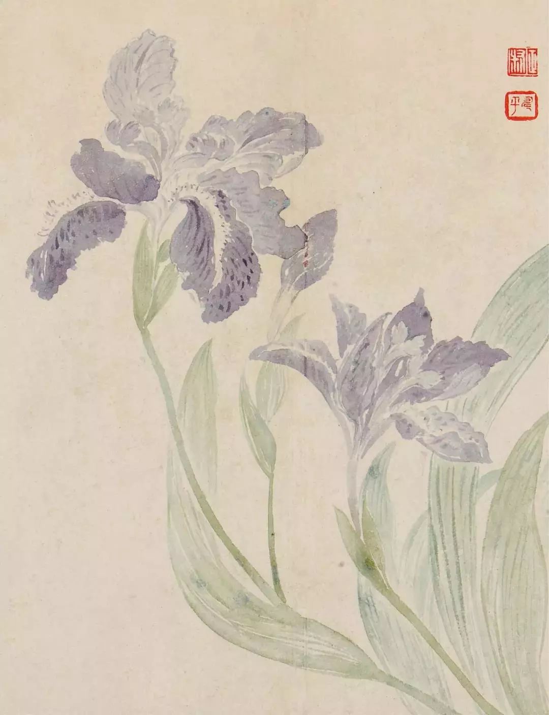 恽寿平的经典花鸟画作品,恽寿平花卉重绘高清图