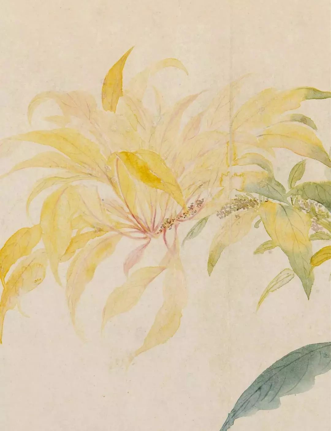 恽寿平的经典花鸟画作品,恽寿平花卉重绘高清图