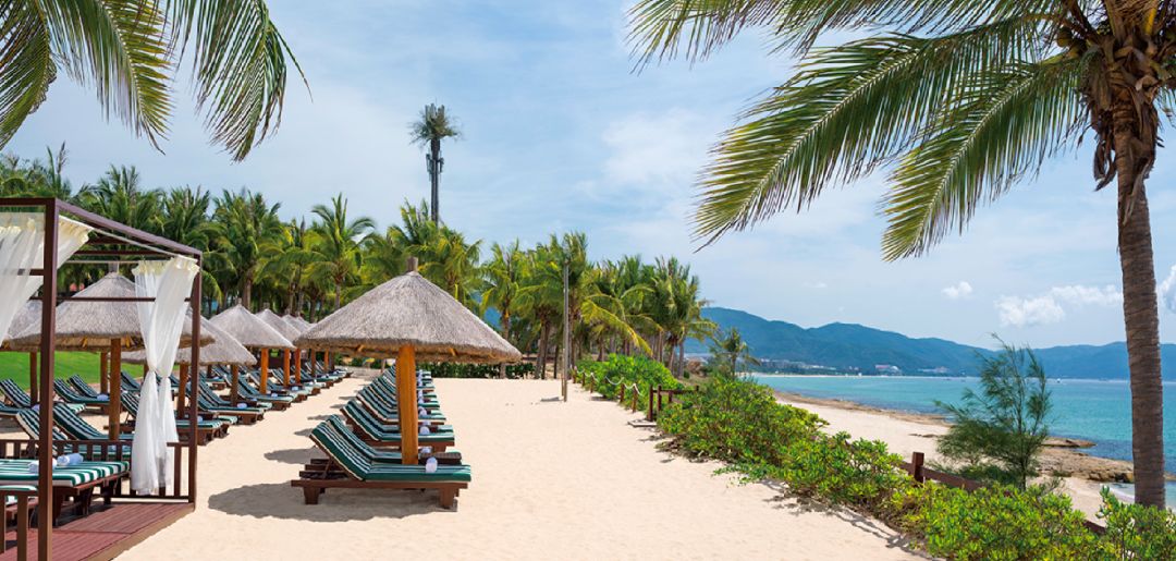 1200㎡透明泳池小红书点赞100w+,这家黄金海岸边的酒店才是海岛季首选