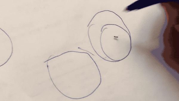 圆珠笔为什么能按动,圆珠笔为啥一按就弹出去了