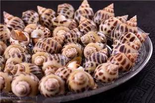 日照有什么好玩的地方,日照金山