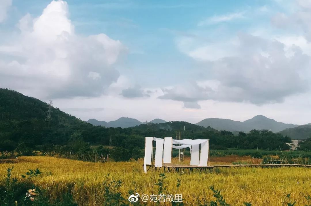 7个闺蜜在稻田里爆改了个“玻璃盒子”，只为兑现养老之约，却意外走红