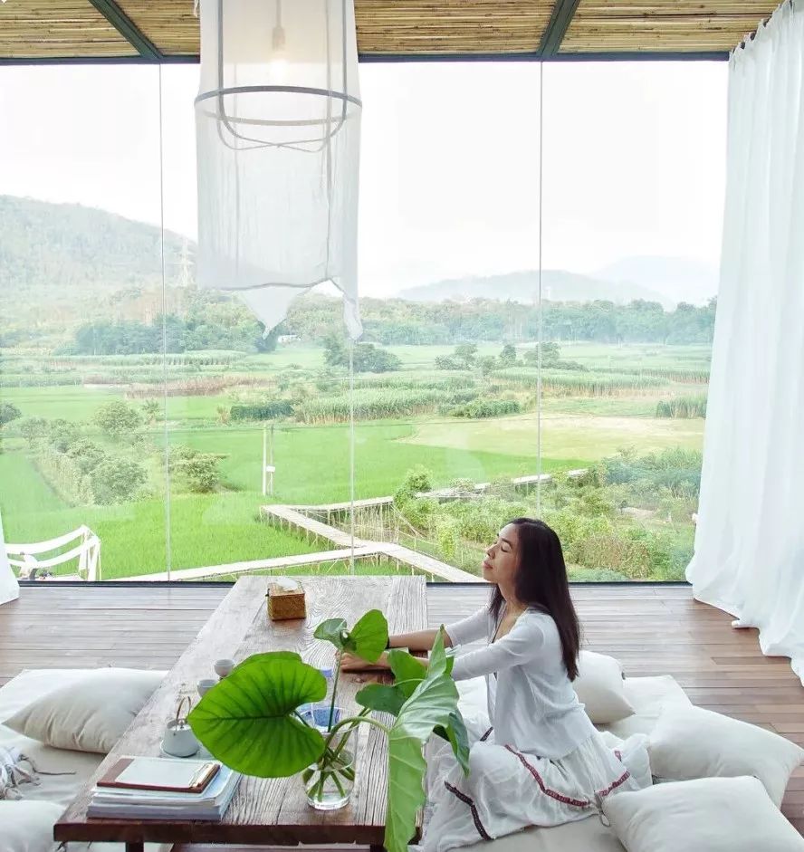 7个闺蜜在稻田里爆改了个“玻璃盒子”，只为兑现养老之约，却意外走红