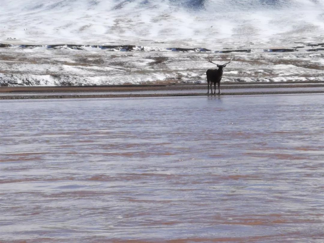 冬季无后援,他用桨板独漂八百里通天河