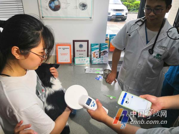 狗狗身份证怎么办理无锡,宁波狗狗身份证怎么办理