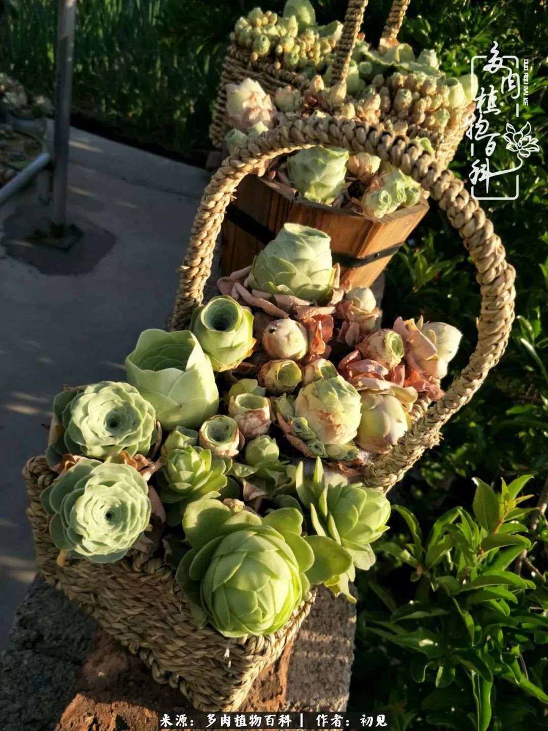 紧张的高三生活也需要适度的放松,紧张焦虑高考