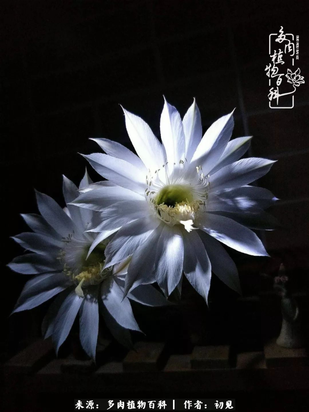 紧张的高三生活也需要适度的放松,紧张焦虑高考