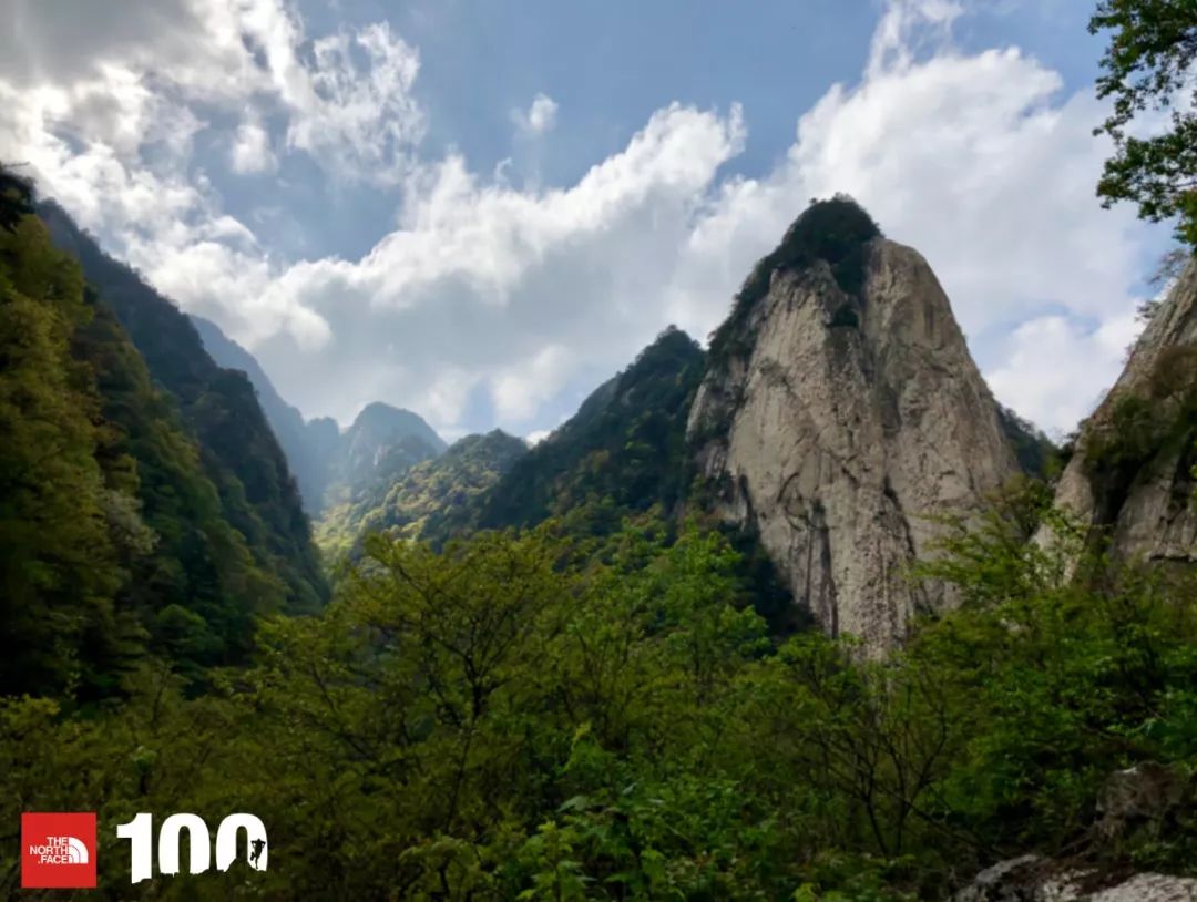 tnf100官网成绩查询,tnf100秦岭国际越野跑