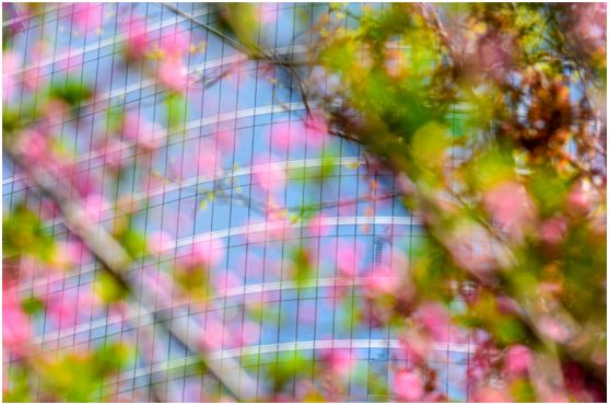 操盘：二线城市豪宅如何营销？用这3道3术夺冠三年