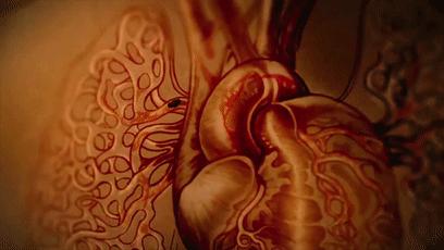 小编推荐一些健康食物,溶栓降脂吃什么好