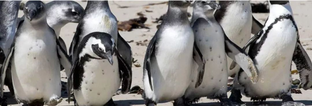 娴锋哗鎯呭湥,璧拌繃涓栫晫涓婃渶缇庣殑椋庢櫙