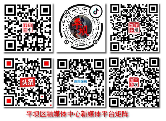 教师风采1500字,教师风采幼师