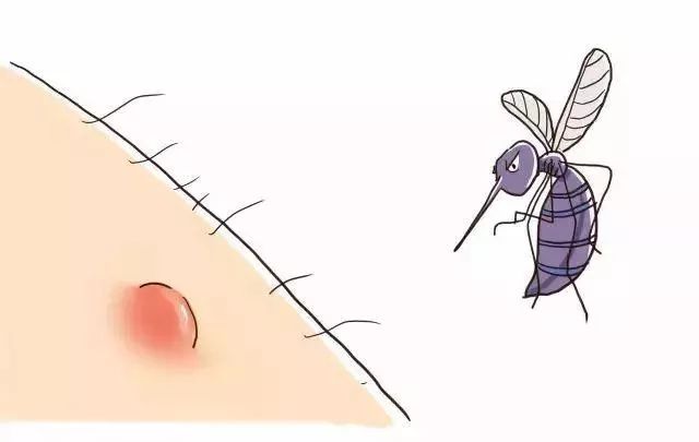 蚊子咬人是不是看血好不好,蚊子咬人看血型么