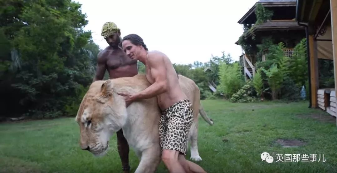 体重319公斤温柔巨兽 (319公斤的温柔巨兽)