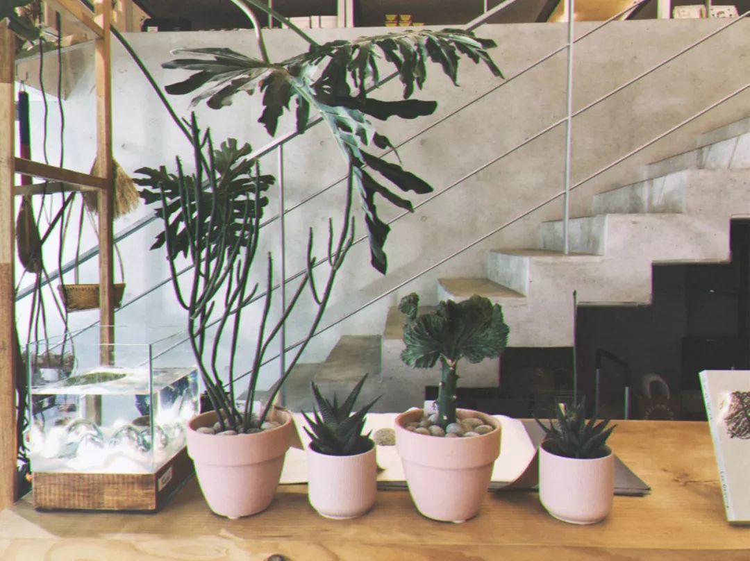 首尔最推荐的店,韩国首尔居家特价店