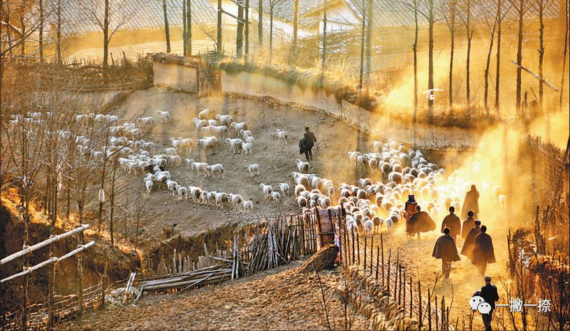 人民日报最经典的照片,人民日报年度好照片