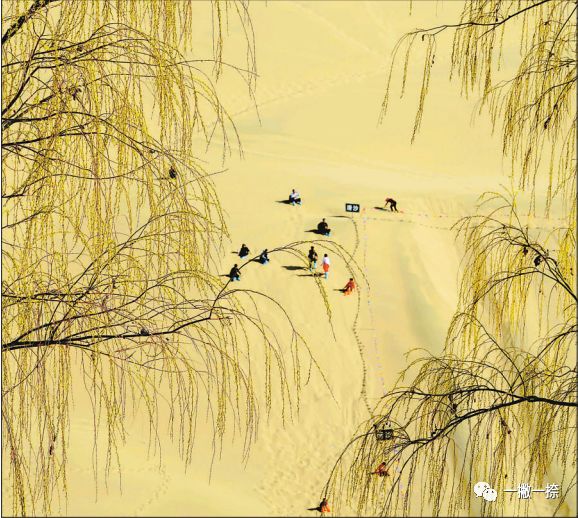 人民日报最经典照片,人民日报最惊艳的图片