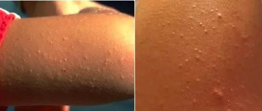 副业天后吊打正军天团，“不务正业”竟成全球最富ICON