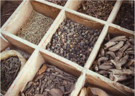 周末文摘|国际植物药市场现状概述