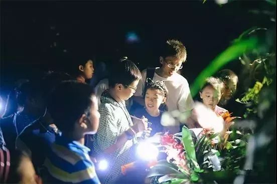 辰山植物园最近有什么活动,动植物园夏令营