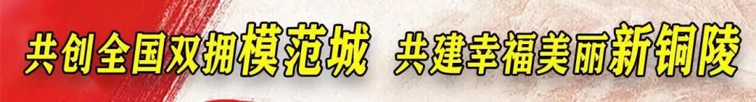 枞阳姑娘“直播养鸡”！一年卖出100万！