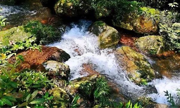 攻略|免费玩！水球大战、玻璃滑道、溜索、汉服穿越……桂林红溪森林瀑布满足你N个夏日期待