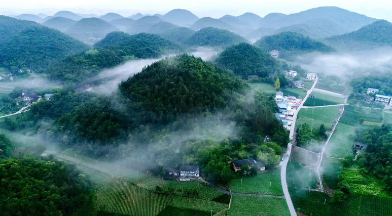 抓党建促脱贫乡村振兴思路,抓党建促乡村振兴典型案例