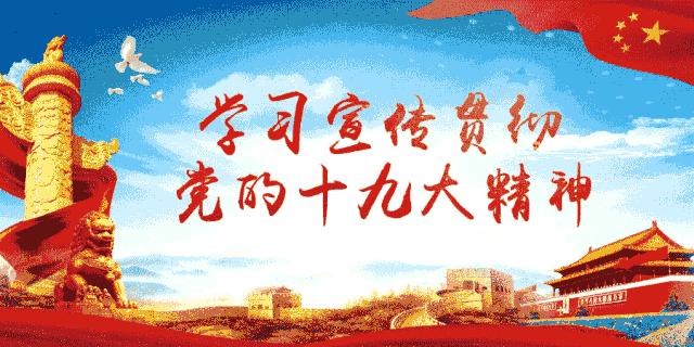 桥西幼儿园亲子活动,幼儿园儿童足球运动会