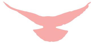 不一样的国庆献礼，福州警宝画出对祖国的爱