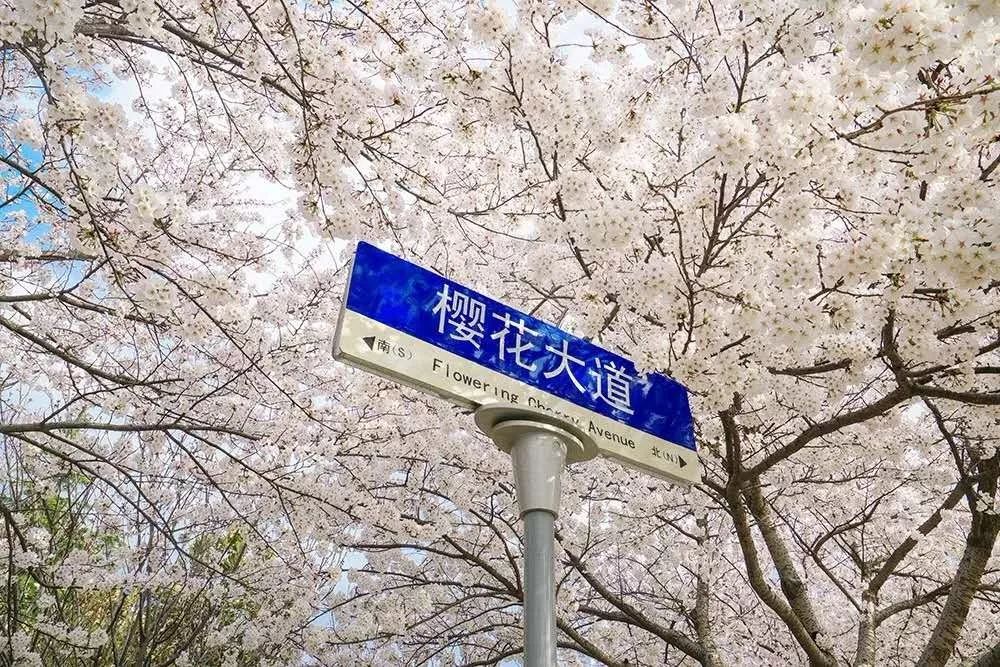 千万不要来青岛读大学，因为...