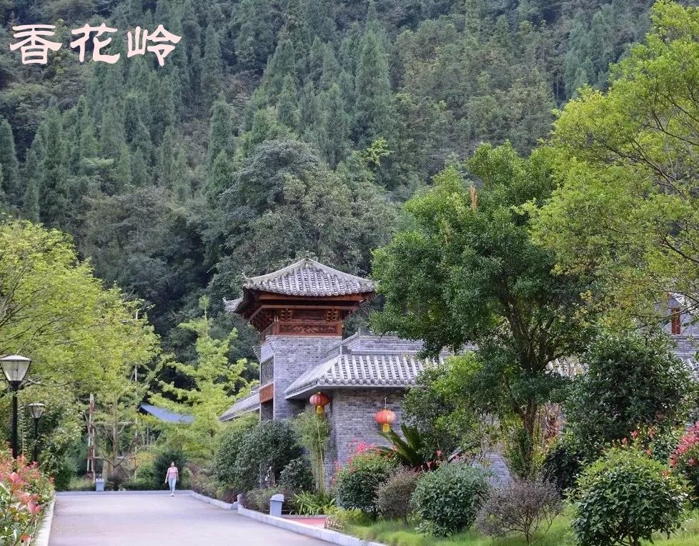 长阳城,长阳向阳花开