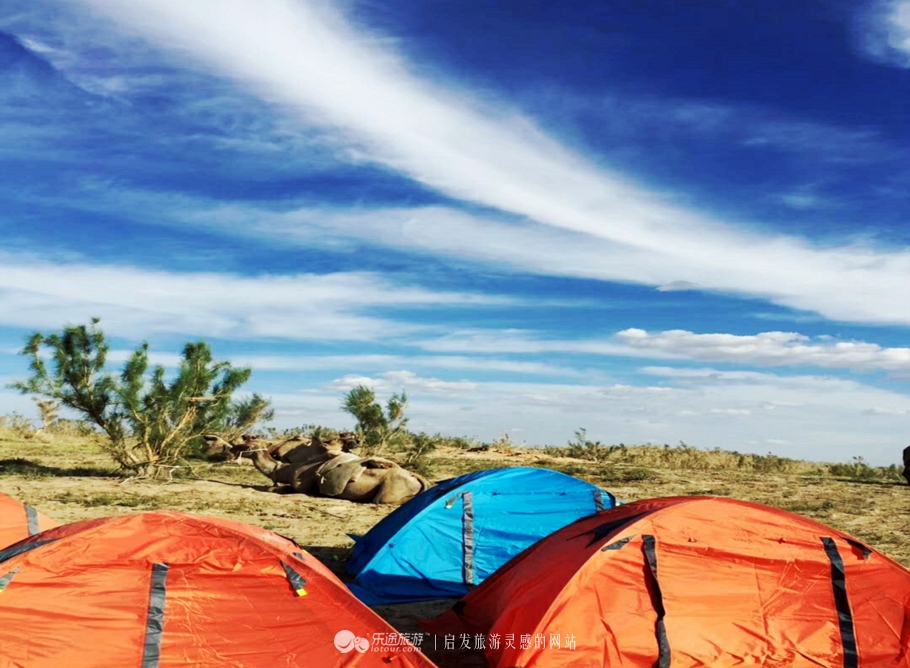东道海子的视频,东道海子简介