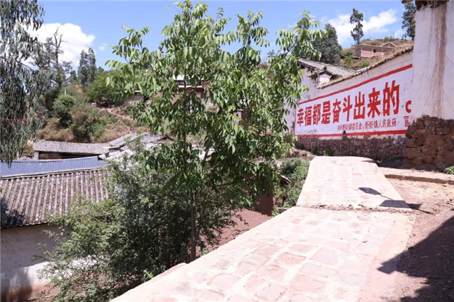 一个偏远彝族乡镇的逆袭之路,一个彝族贫困村