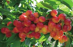 去最美的地方纪录片,最美县城旅游攻略