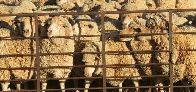 618背后的黑产大战:你在通宵抢优惠券,阻止“羊毛*党**”的人同样彻夜不眠