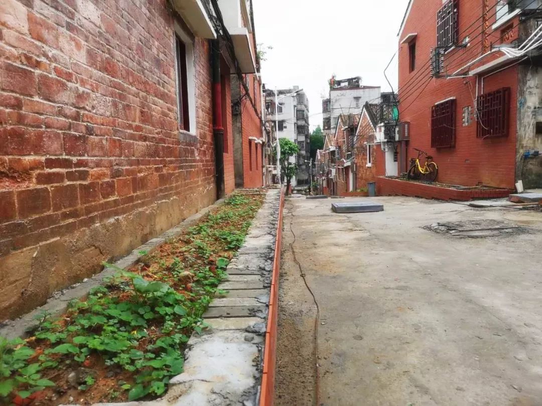 不再水浸、拐角见绿…藏在这里的旧时光与烟火气，更加绚丽