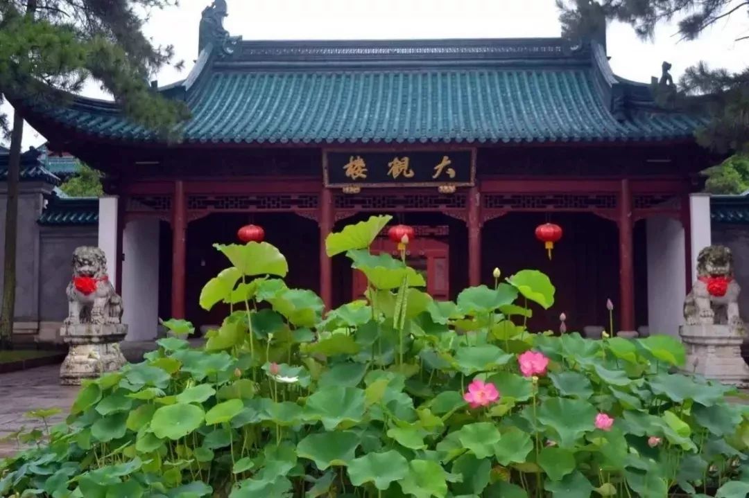 上海赏荷花最好的地方,上海秋冬拍荷花最佳地点