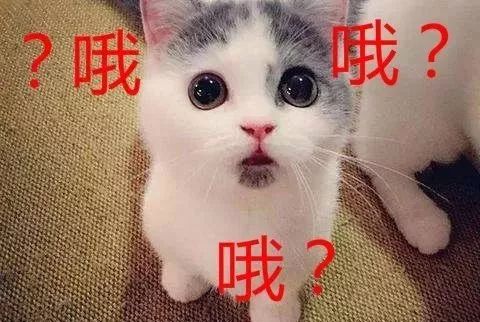 一帮男人疯狂打钱！29岁女白领，卡上入账500多万！原因让人颠覆想象