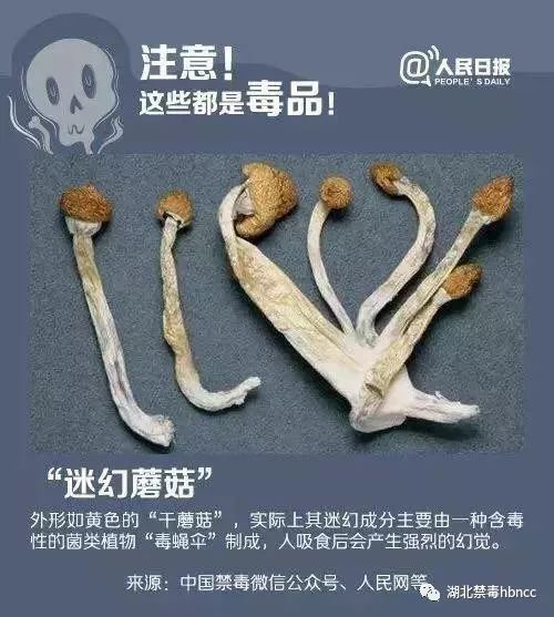 毒品,武汉为什么禁毒这么厉害