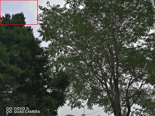 华为nova5i换屏教程,华为nova5ipro