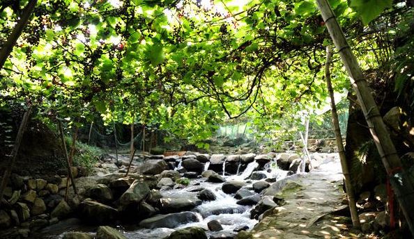 宁德地区国字号,宁德有哪些地方有国字号