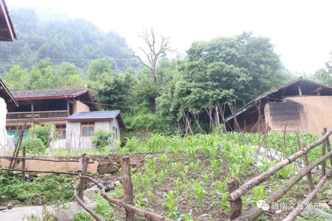 拆危治乱进行时|文县铁楼藏族乡：拆出民俗靓景区治出富裕新生活