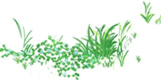 女性阴科检查怎么做,小女孩白带多还痒是什么原因