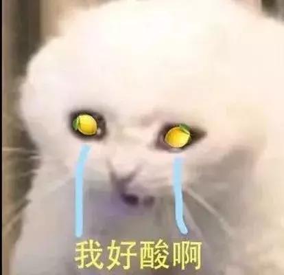 填志愿最新10种专业,高考填志愿所谓的好专业是什么