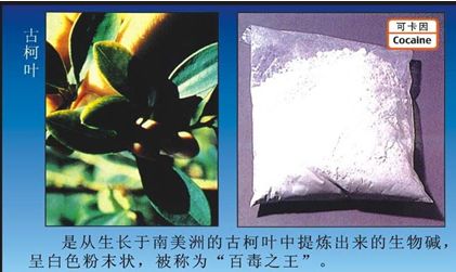 六月26日是国际禁毒日禁毒宣传语,2022年国际禁毒日相关知识