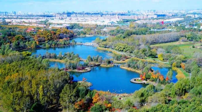 10月29号机票天津飞哪里便宜,天津出发十一月的特价机票